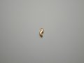 チタンピアス　エス　チタンゴールド