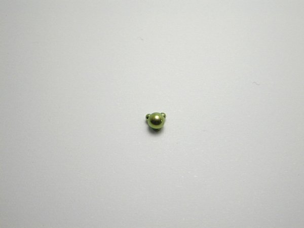 画像1: チタンピアス　ベアー　ベージュ (1)