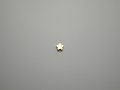 チタンピアス　フラワー　チタンゴールド